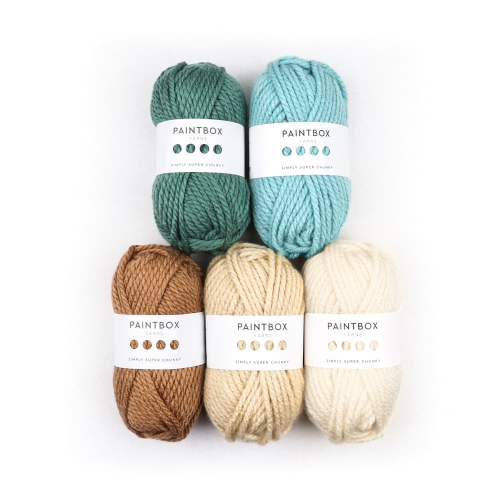 Paintbox Yarns Simply Super Chunky 5 Ball Colour Pack