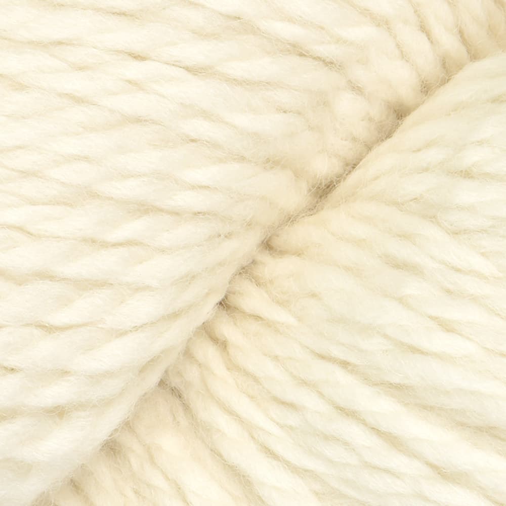 Cascade Yarns Ecological Wool