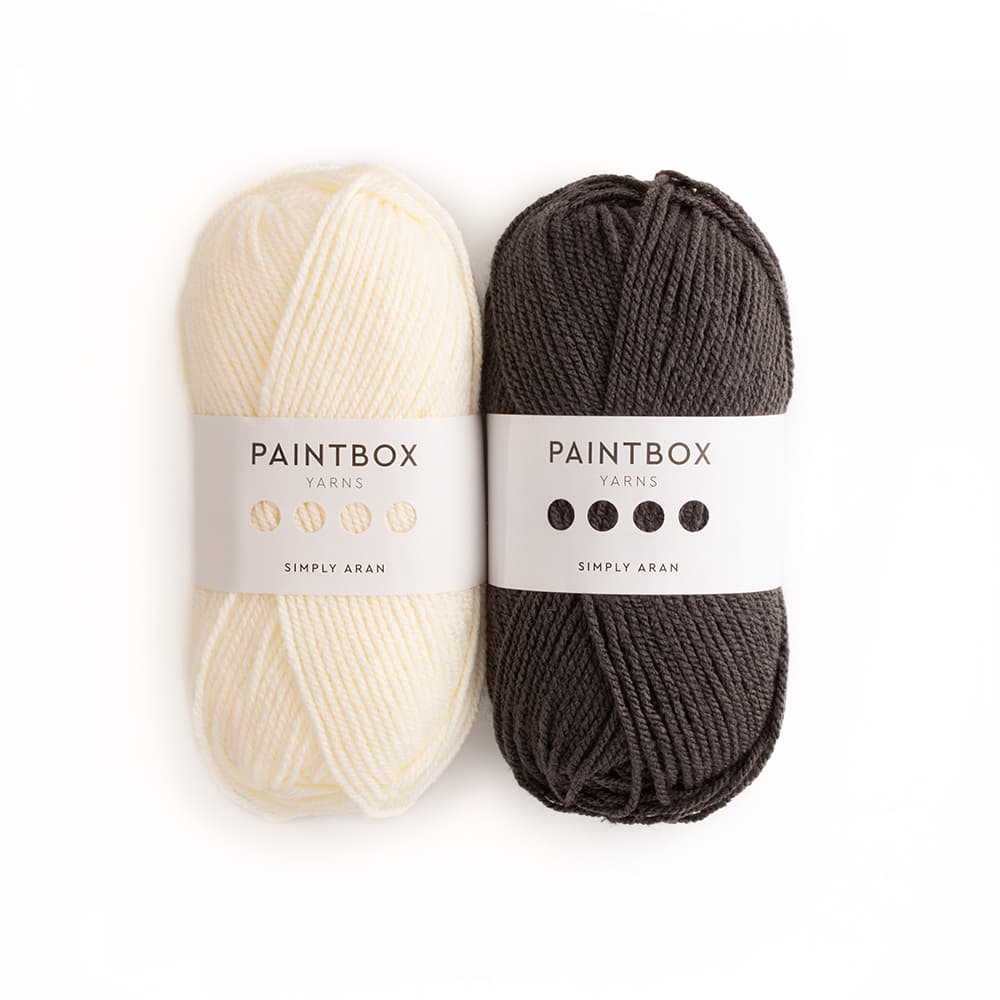Paintbox Yarns Simply Aran Easy Beanie Hat 2 Ball Knitting Kit
