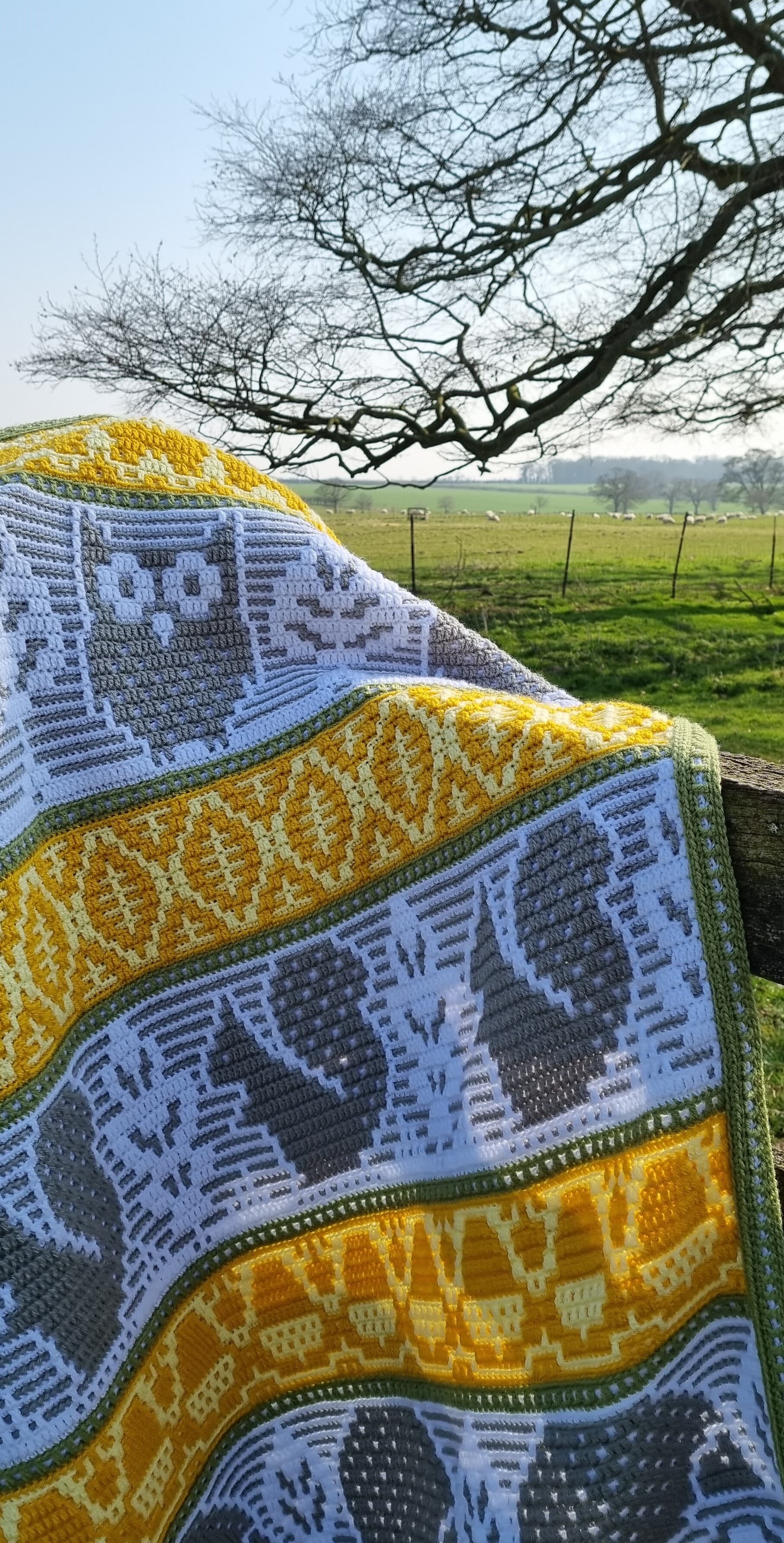 Stylecraft Flora's Fauna CAL by Rosina Plane - Meadow (Large)